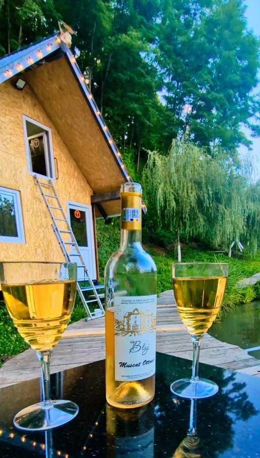 Agriturismo per 2 persone, con giardino e panorama nonché vista lago in Alba Iulia (Romania)