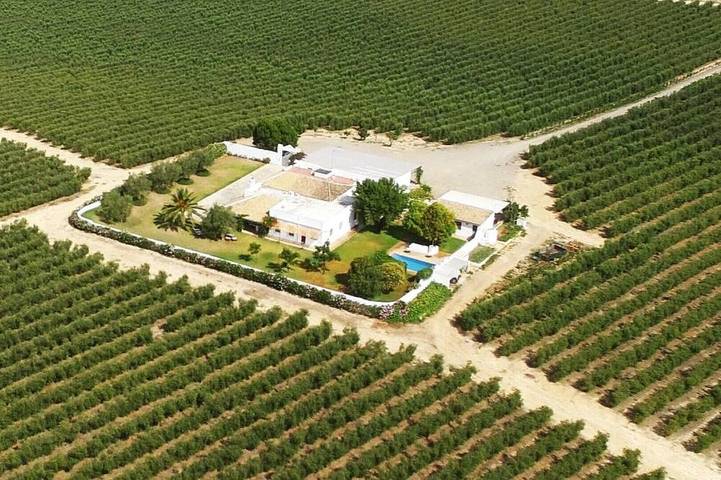 Maison de vacances pour 12 personnes, avec jardin - 1