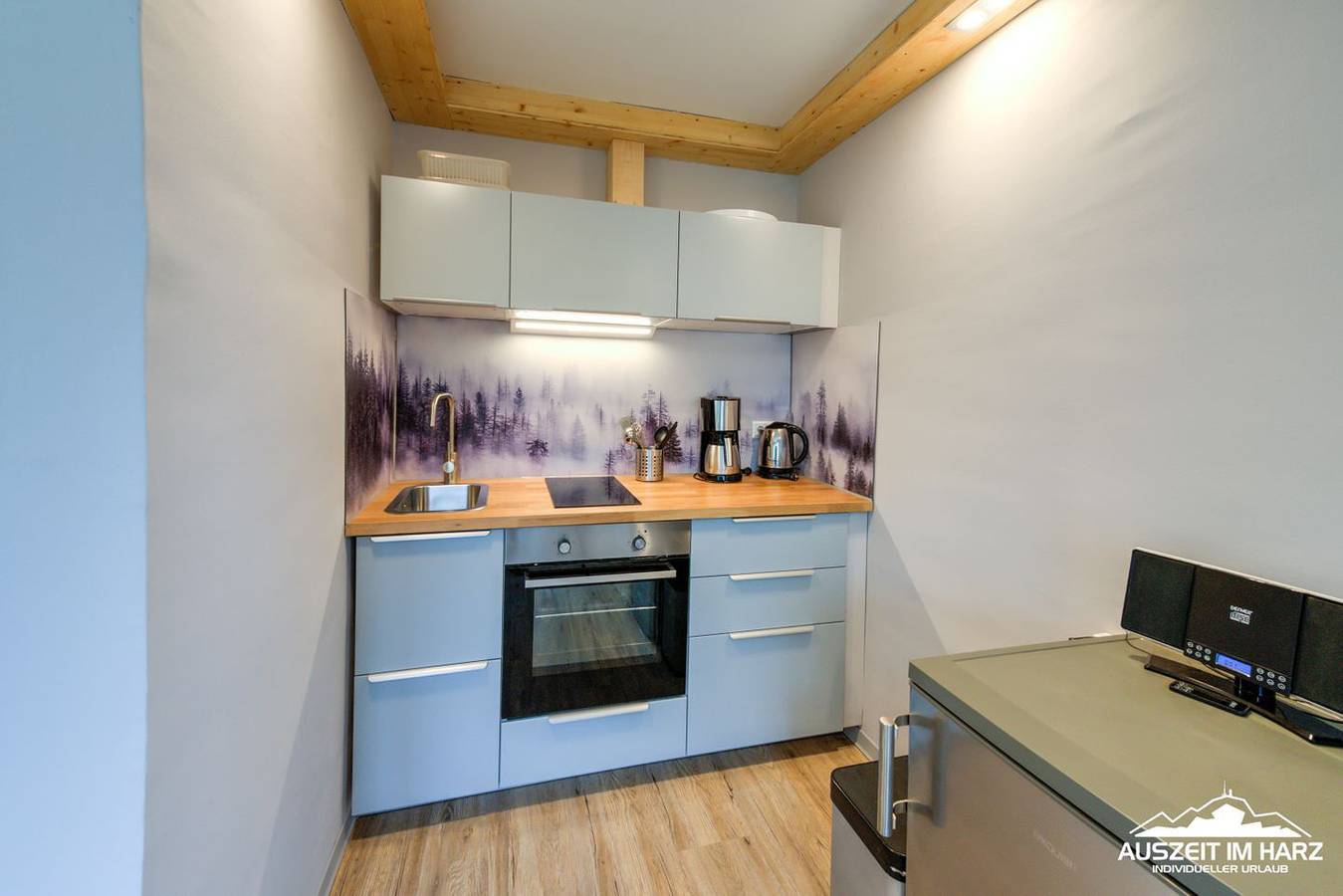 Ganze Wohnung, Haus 3 Ferienwohnung 1 in Braunlage, Harzvorland