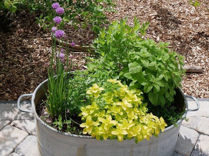 Ferienwohnung für 2 Personen, mit Garten in Bosau - 4