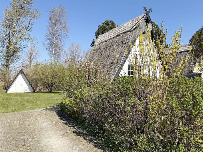 Ferienhaus für 4 Personen, mit Terrasse und Garten, kinderfreundlich in Mönchgut-Granitz - 3