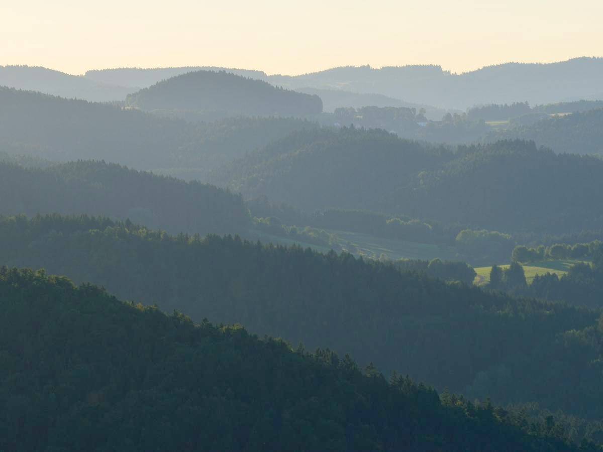 Ganze Wohnung, Ferienwohnungen Fam.Grill - Ferienwohnung Fernblick in Schönberg (Bayern), Ostbayern