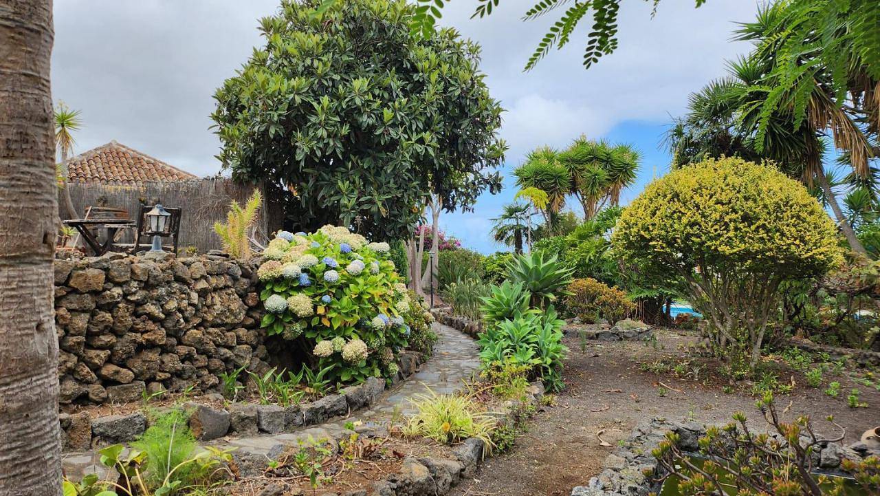 Deluxe One-Bedroom Apartment with Garden View in Cueva del Viento, Icod de los Vinos