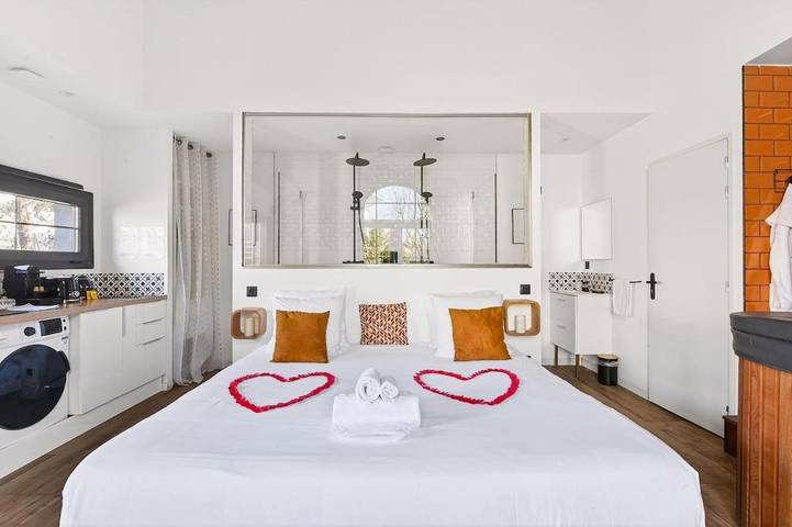 Location de vacances pour 2 personnes, avec terrasse et jacuzzi, animaux acceptés à Dardilly - 3