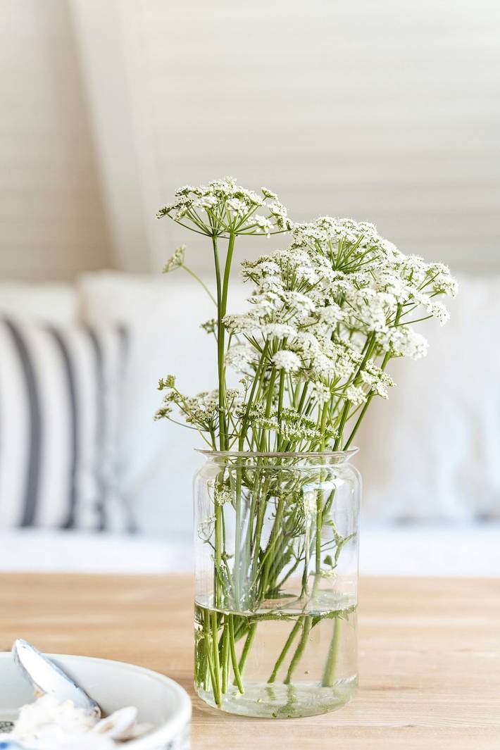 Ferienhaus für 4 Personen, mit Terrasse und Garten, mit Haustier in Djursland - 3