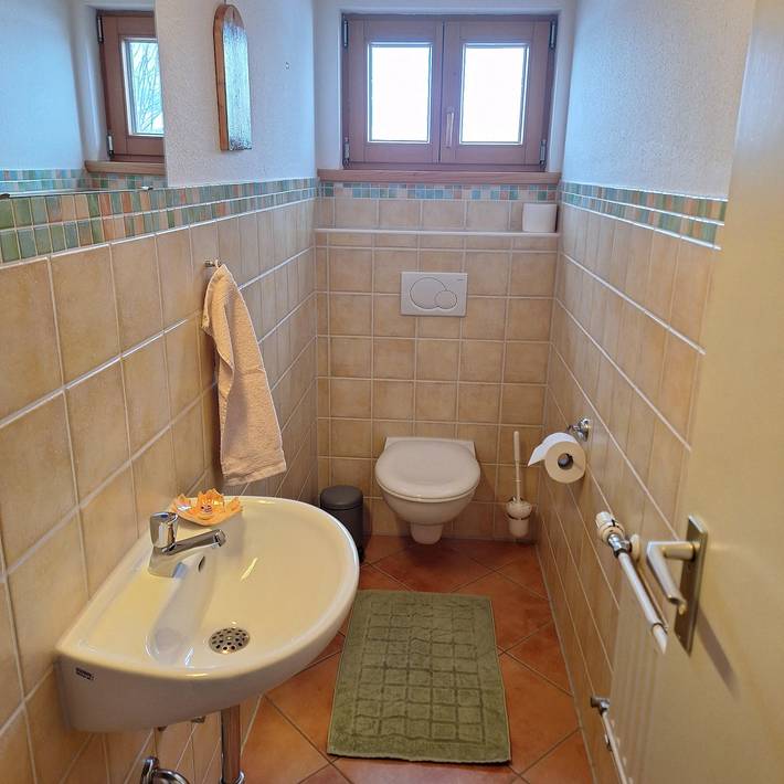 Ganze Ferienwohnung, Pferde in Grünten, Burgberg im Allgäu