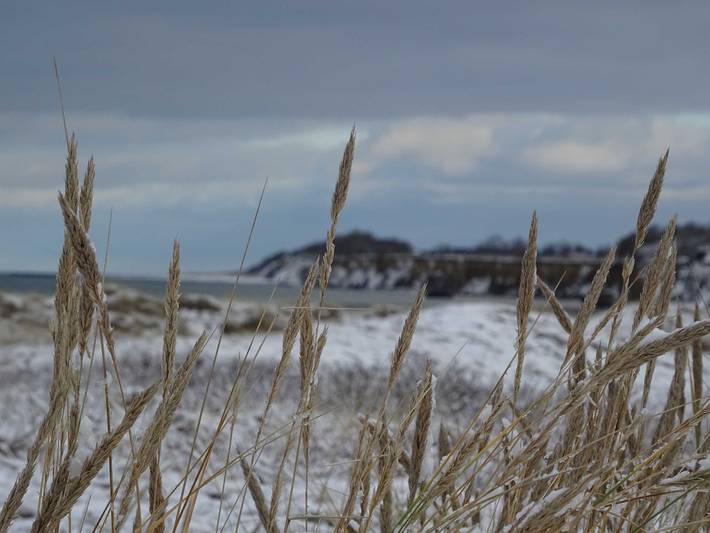 Ferienwohnung für 3 Personen, mit Balkon und Garten sowie Seeblick in Ahrenshoop - 3