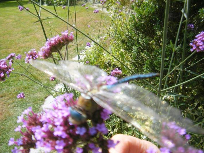Location de vacances pour 2 personnes, avec jardin ainsi que vue sur le lac et vue dans Mesnil-Roc'h - 2