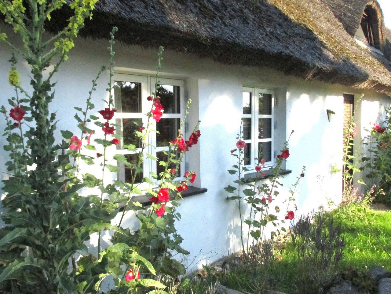 Ganze Ferienwohnung, Ferienwohnung im alten Reetdachhaus in Benz, Usedom