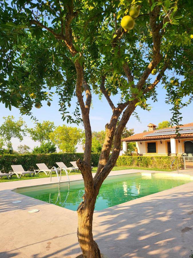 Casa rural para 9 personas, con jardín además de vistas y piscina en Comarca de Trujillo - 4