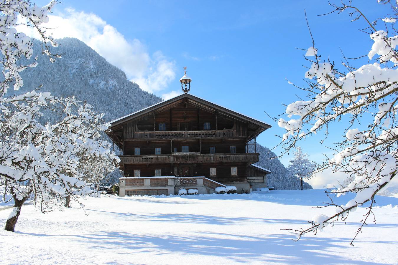 Ganze Ferienwohnung, Ferienwohnung Alpbachtal Nähe Ski & Wandergebiet by Fewo-Plan (Reit100 ) in Reith im Alpbachtal, Kitzbüheler Alpen