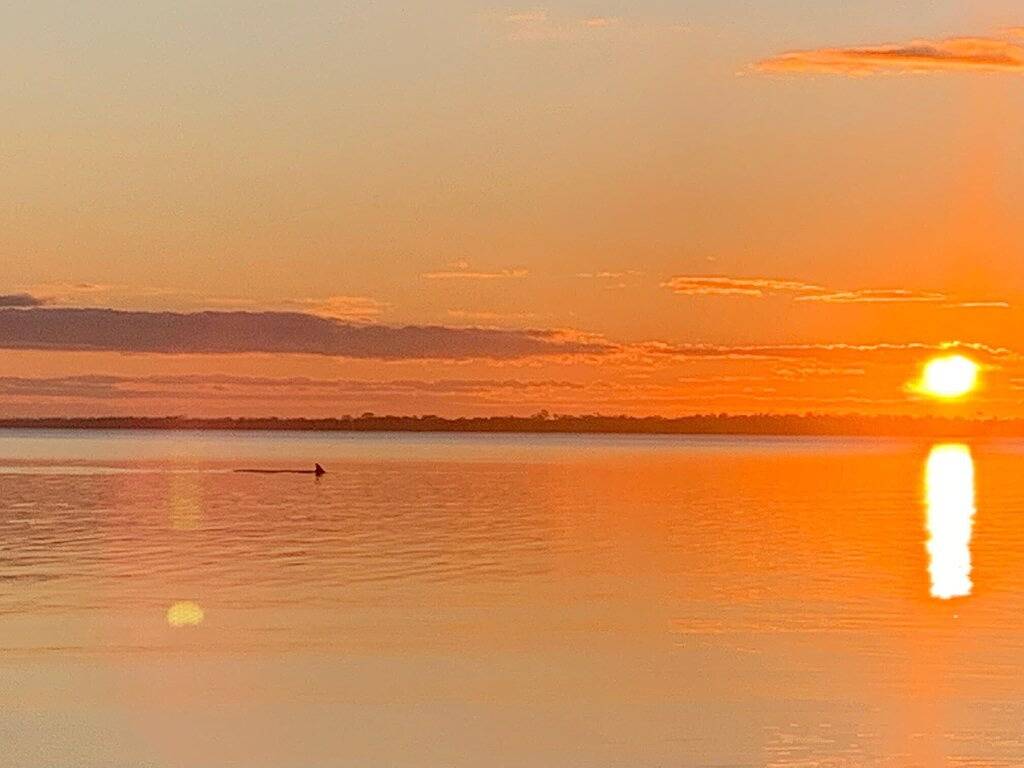Lakeside Beach House - Kinder- und hundefreundlich in Loch Sport, Shire of Wellington