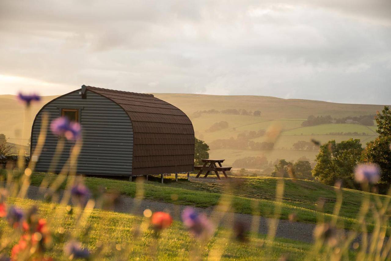 Wild Northumberland Glamping in Kielder Forest Park