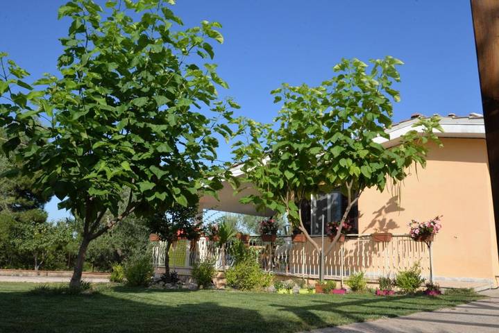 B&b per 3 persone, con giardino e panorama, con animali domestici a Corato