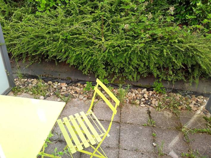 Gîte pour 2 personnes, avec terrasse à Saint-Priest-en-Jarez - 3