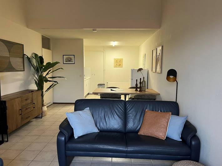 Strandhaus für 4 Personen, mit Balkon/Terrasse und Terrasse in Nieuwvliet - 2