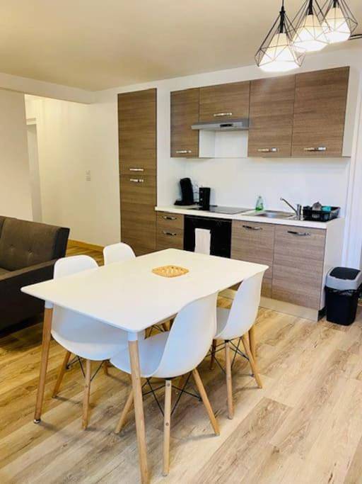 Gîte pour 4 personnes, animaux acceptés à Coligny - 3