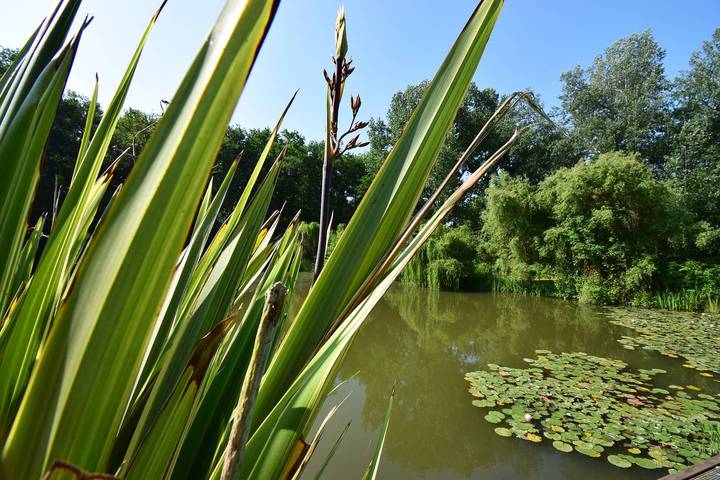Chalet pour 4 personnes, avec piscine dans le Lot-et-Garonne - 4