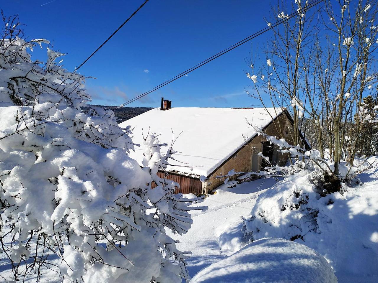 Milou in Saint-Germain-de-Joux, Nantua