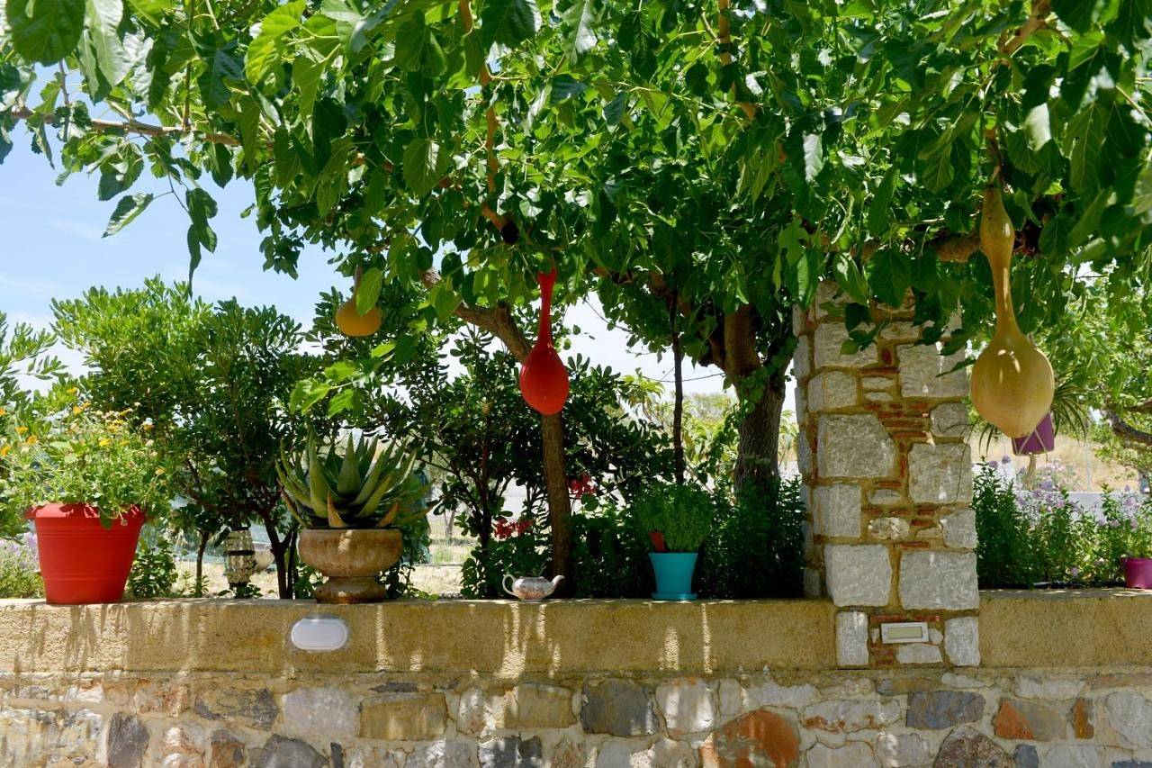 Entire apartment, Apartment with Balcony in Faliraki, Rhodes