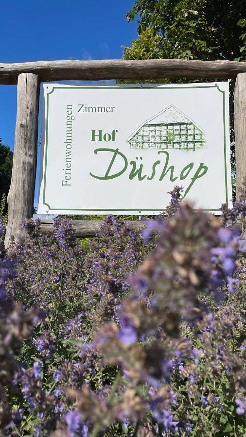 Ganze Wohnung, Hof Düshop in Bad Fallingbostel, Landkreis Heidekreis