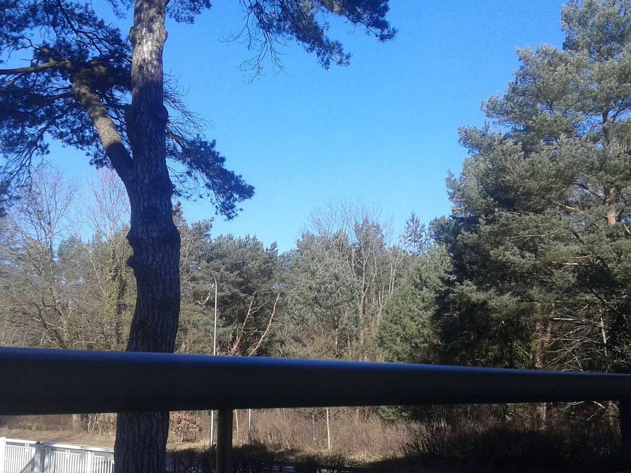 Ganze Ferienwohnung, Ferienwohnung Bernstein - Ferienwohnung Bernstein in Swinemünde, Stettiner Haff