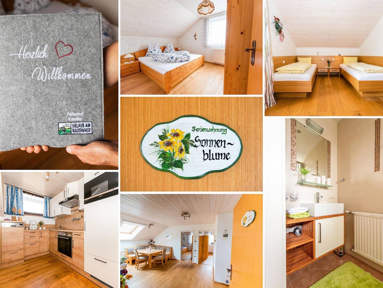 Ganze Ferienwohnung, Ferienhof Kandler - Ferienwohnung Abendsonne/2 Schlafräume/Dusche/Wc in Roßleithen, Kirchdorf an der Krems (Bezirk)