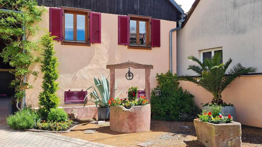 Gîte pour 2 personnes, avec terrasse à Fortschwihr