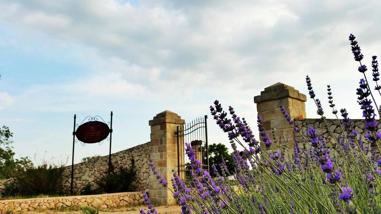 Antica Masseria Scagnito in Corigliano d'Otranto, Provincia di Lecce