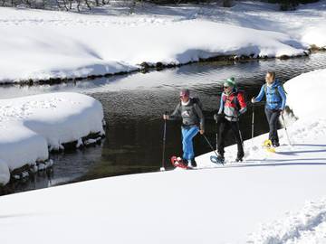 Chalet für 6 Personen in Hohentauern, Murtal, Bild 3