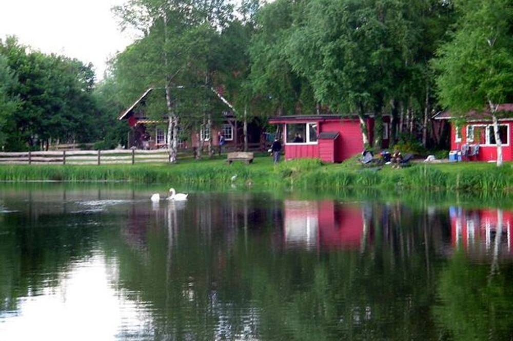 Ganze Wohnung, Karpfenhütte - Ferienhof Am Birkensee 55125 in Detern, Ostfriesland