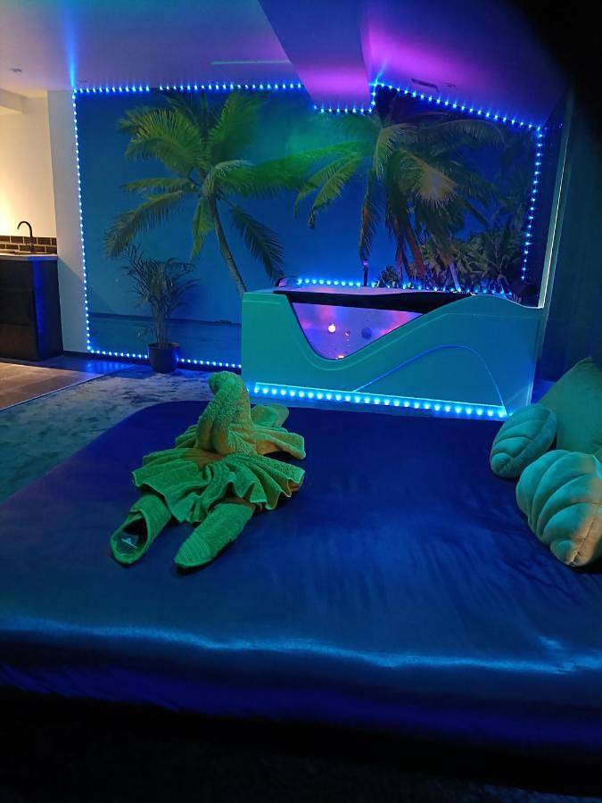 Gîte pour 2 personnes, avec jacuzzi dans Port de Castelnaudary - 4