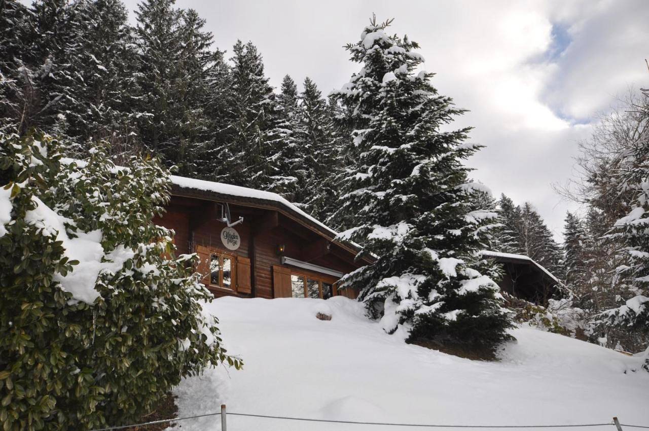 Appartement de vacances entier, Chalet Edelweiss in Alpes de Tux, Weerberg