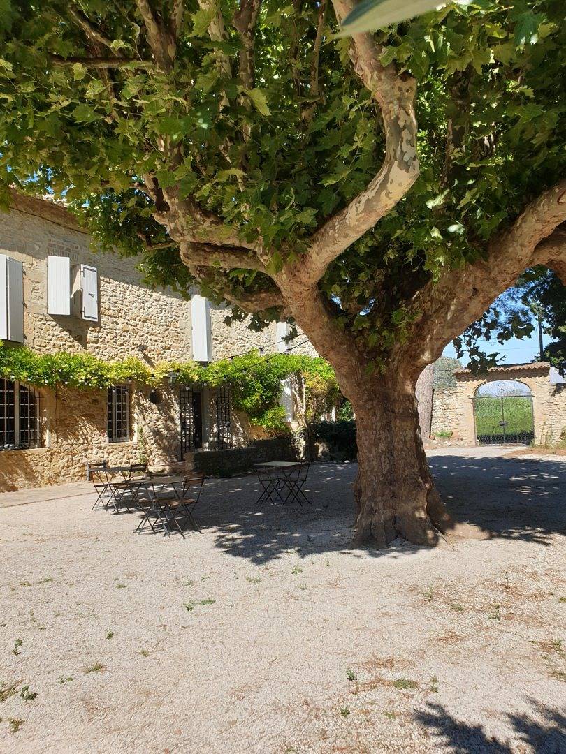 Chambre et table d'hôtes Mas du Récati - bonheur in Caderousse, Vaucluse