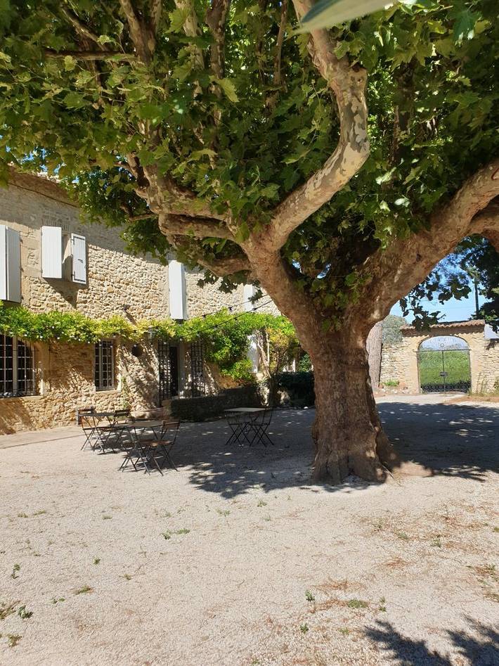 Location de vacances pour 2 personnes, avec piscine et jardin, animaux acceptés à Caderousse - 3