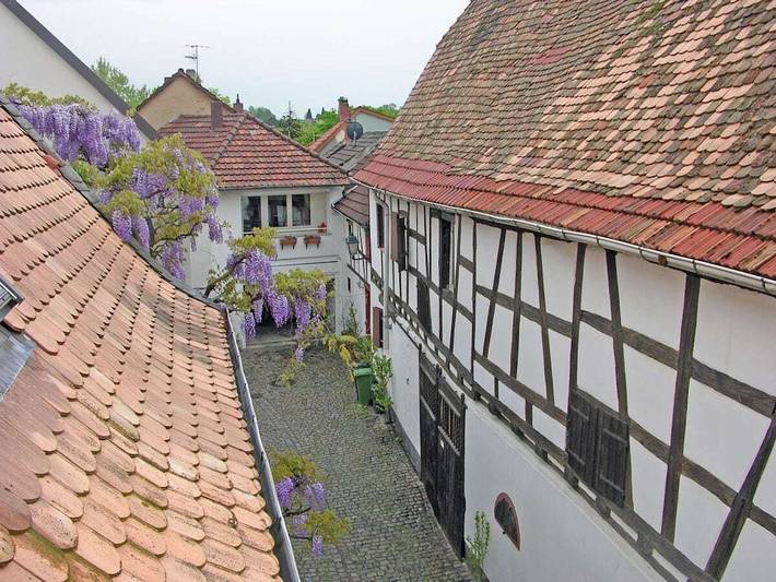 Ferienhaus für 3 Personen, mit Terrasse in Freinsheim - 3