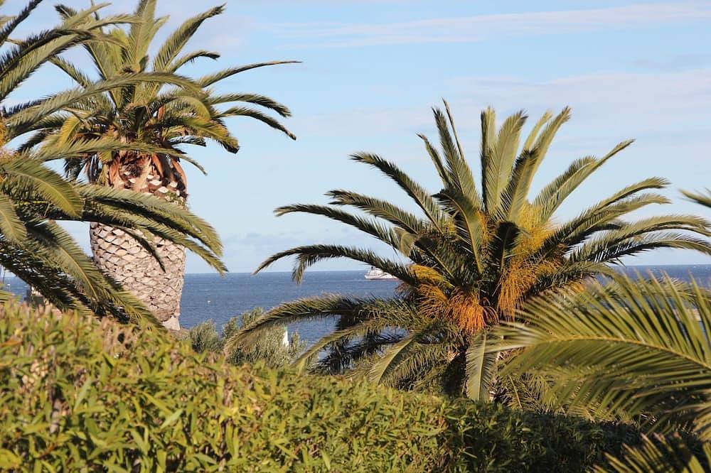 Ganze Wohnung, Appart T3 von 55 m2 Meerblick 2 Bett 2/4/6 Pers, Veranda, WIFI, Garage, 200 m Vom Hafen in La Côte Vermeille, Port-Vendres
