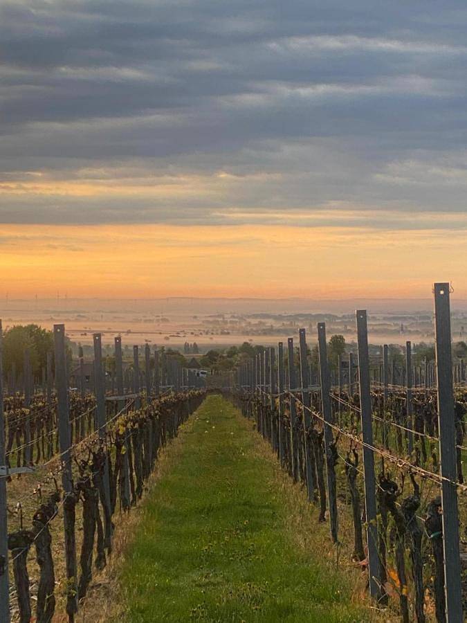 Ferienwohnung für 4 Personen, mit Garten und Balkon sowie Ausblick in Sankt Martin