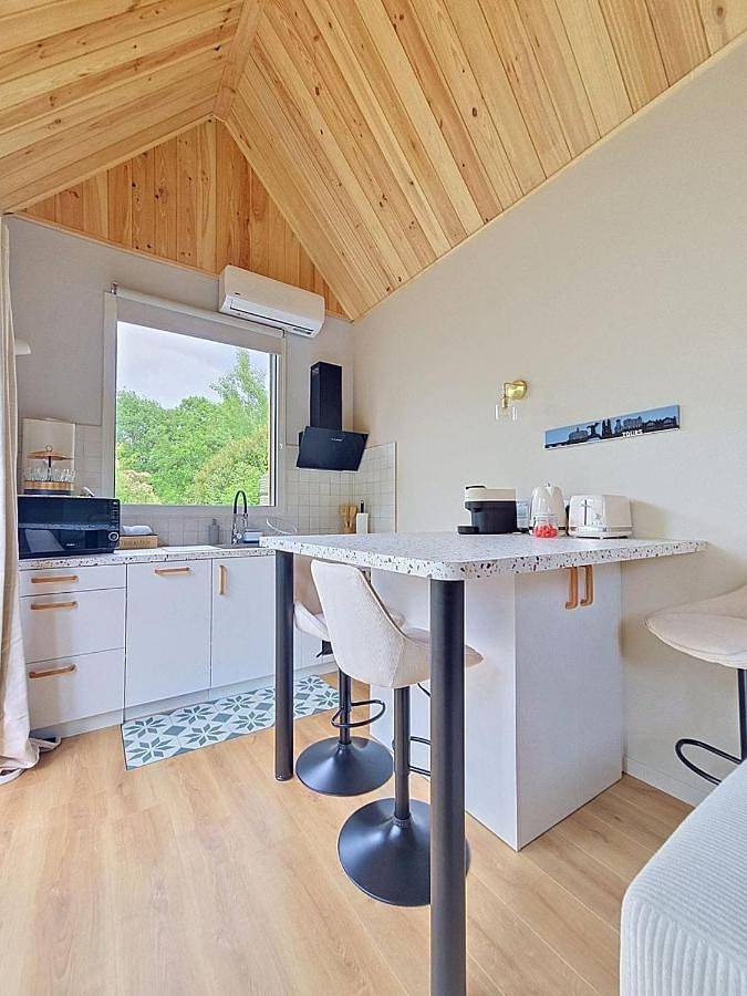 Location de vacances pour 4 personnes, avec jacuzzi et terrasse à Charentilly - 3