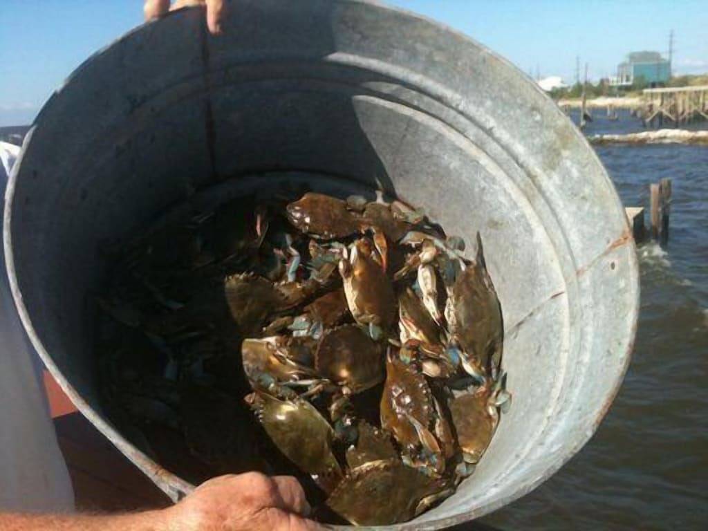 Raus aus dem Alltag New Orleans (Slidell) in Lake Pontchartrain