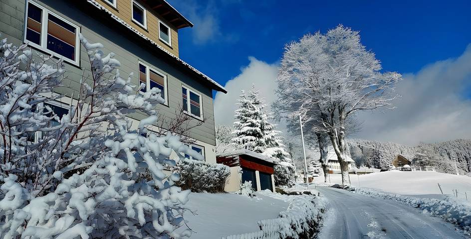Ferienwohnung für 3 Personen, mit Garten in Furtwangen