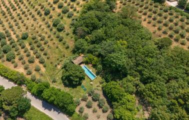 Vacation Rental for 10 Guests in Alia, Palermo Province, Picture 1