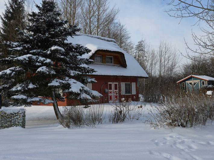 Ferienhaus für 5 Personen, mit Garten und Terrasse, mit Haustier in Poseritz - 3
