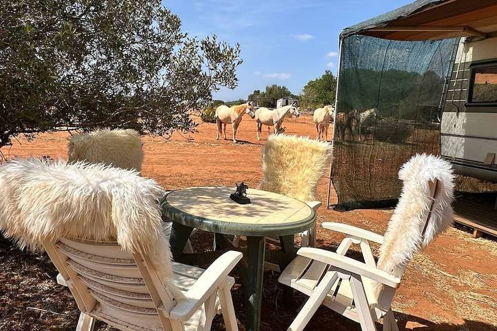 Camping per 4 persone in Algarve