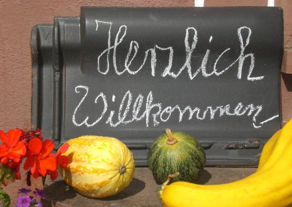 Ganze Ferienwohnung, Ferienhof An der Lay - Spatzennest in Kerpen (Eifel), Vulkaneifel