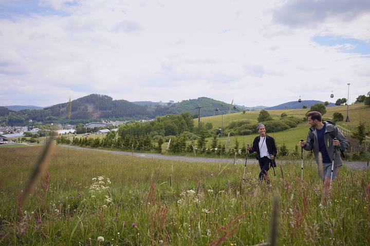 Sauerland Stern Hotel - Standardzimmer in Willingen, die Mittelgebirge