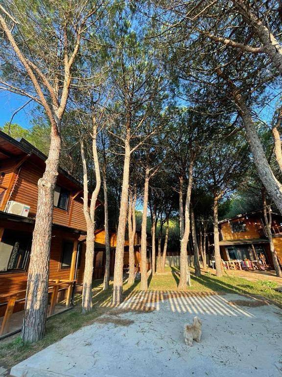 Appartement de vacances pour 5 personnes, avec Balcon et Terrasse ainsi que Jardin et Vue