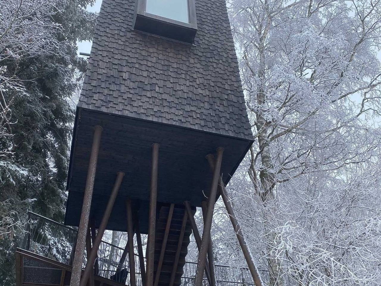 Erlebnisbaumhaus, Familie Baldauf - Baumhaus in Sulzberg (Österreich), Bodensee-Vorarlberg