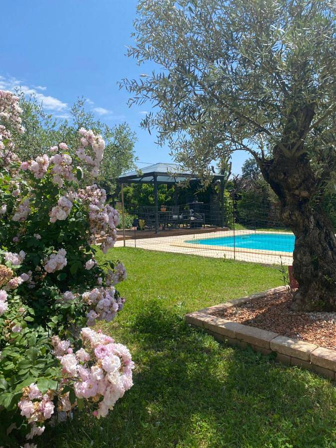 Location de vacances pour 2 personnes, avec jacuzzi ainsi que jardin et piscine à Bollène - 4