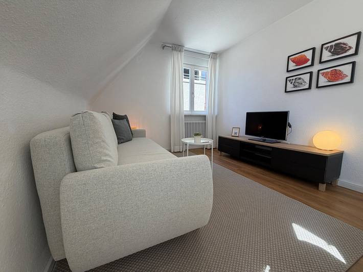 Ganze Wohnung, Komfort-City-Apartment - Friedrichshafen am Bodensee in Friedrichshafen, Region Bodensee-Oberschwaben